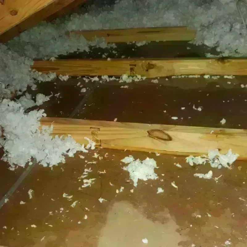 Attic Water Damage in Lake Pocotopaug, CT